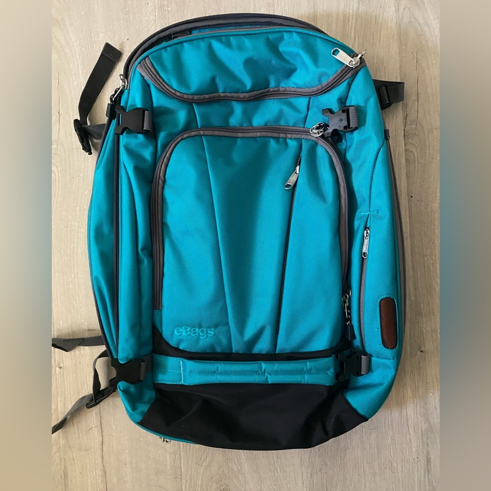 Ebags Motherlode backpack